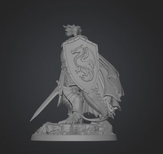 Dragonborn Fighter- 3D Printed 32mm-100mm.